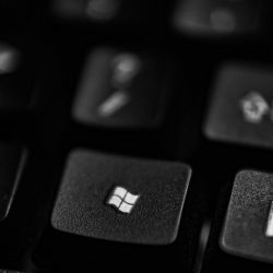 predaj_software